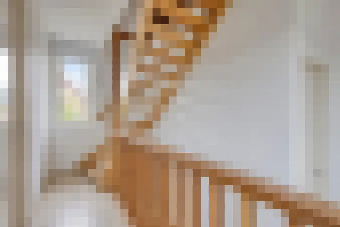 Beekvloed 20 Volkel thumbnail 34