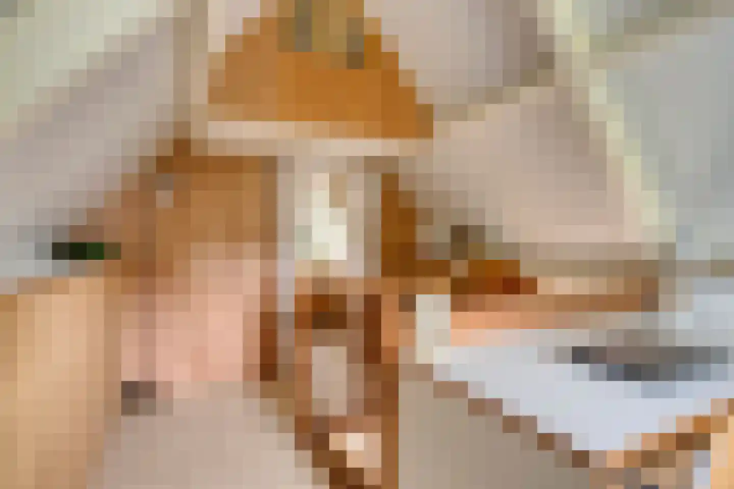Beekvloed 20 Volkel thumbnail 36