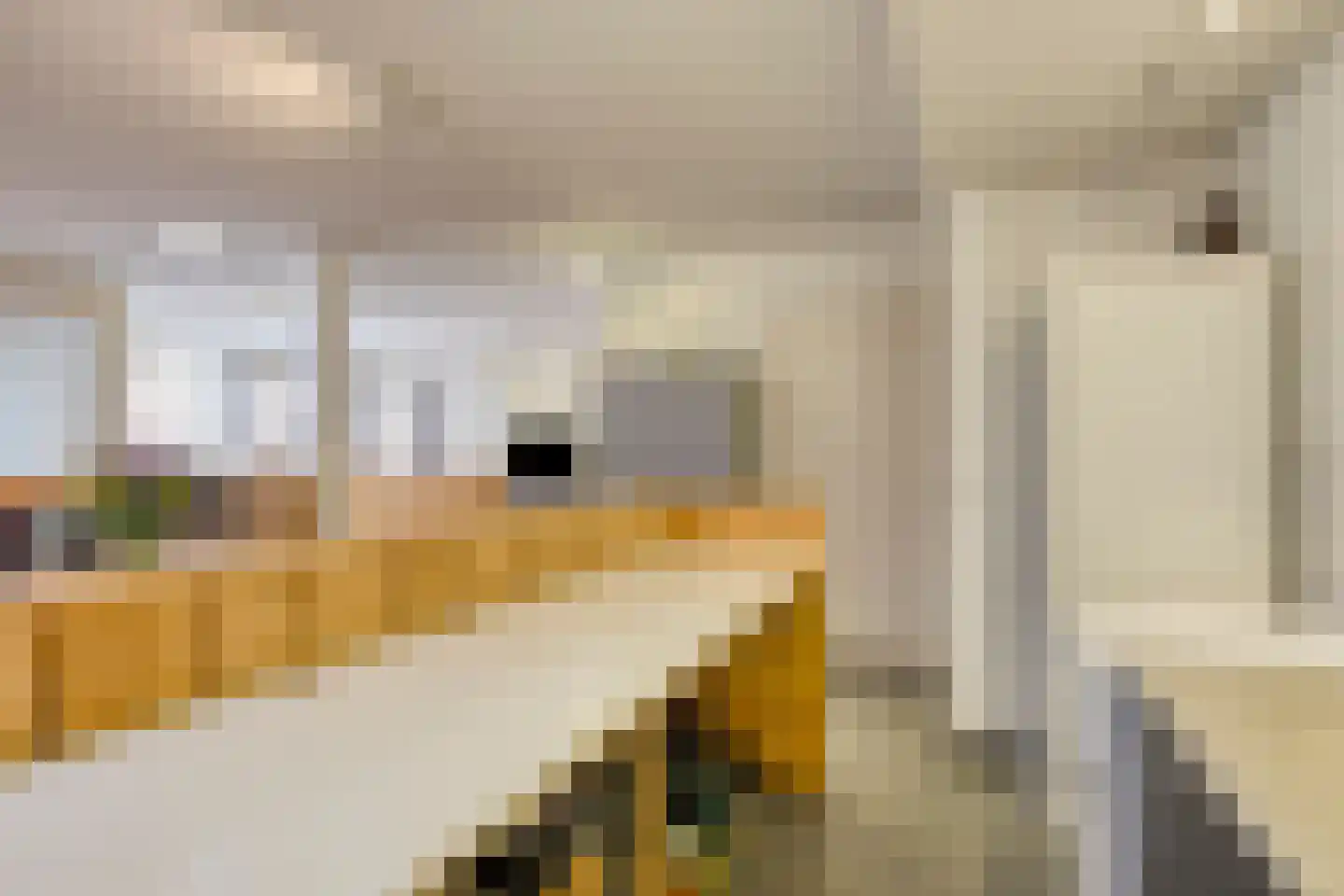 Beekvloed 20 Volkel thumbnail 49