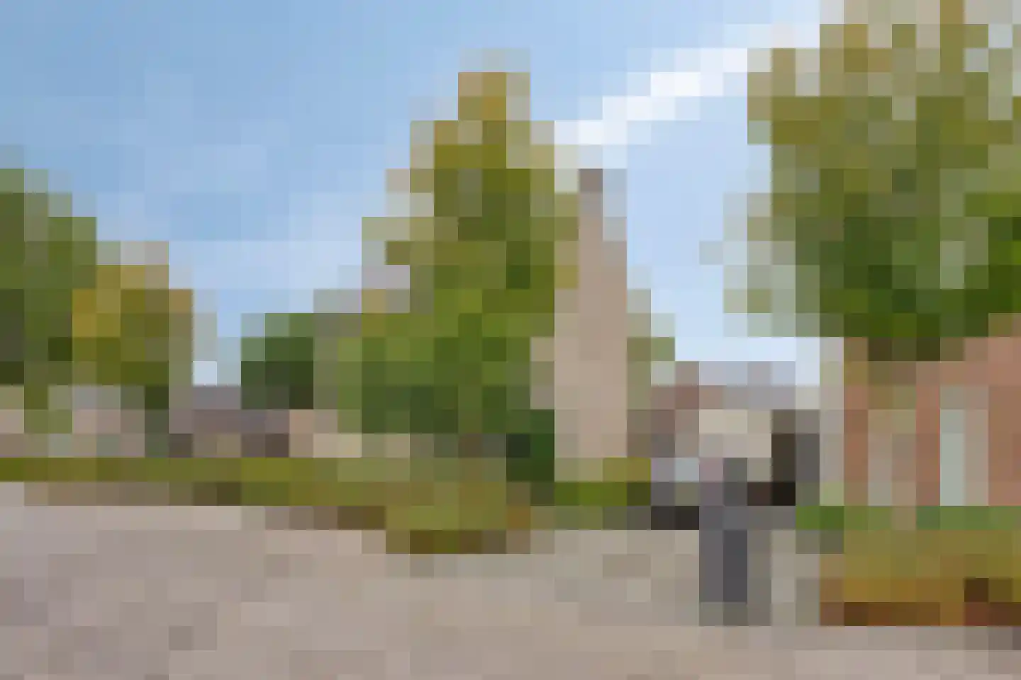 Beekvloed 20 Volkel thumbnail 68