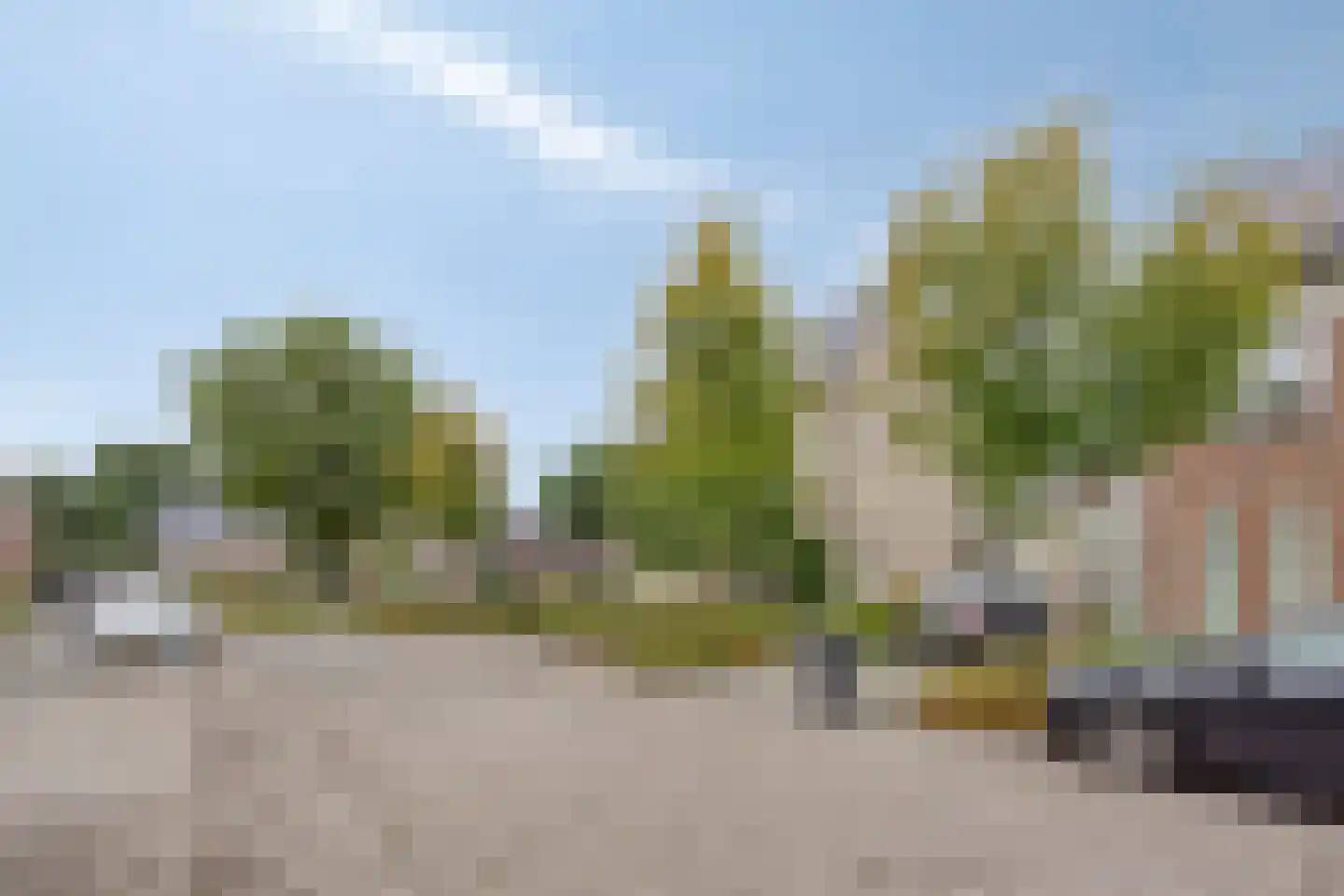 Beekvloed 20 Volkel thumbnail 71