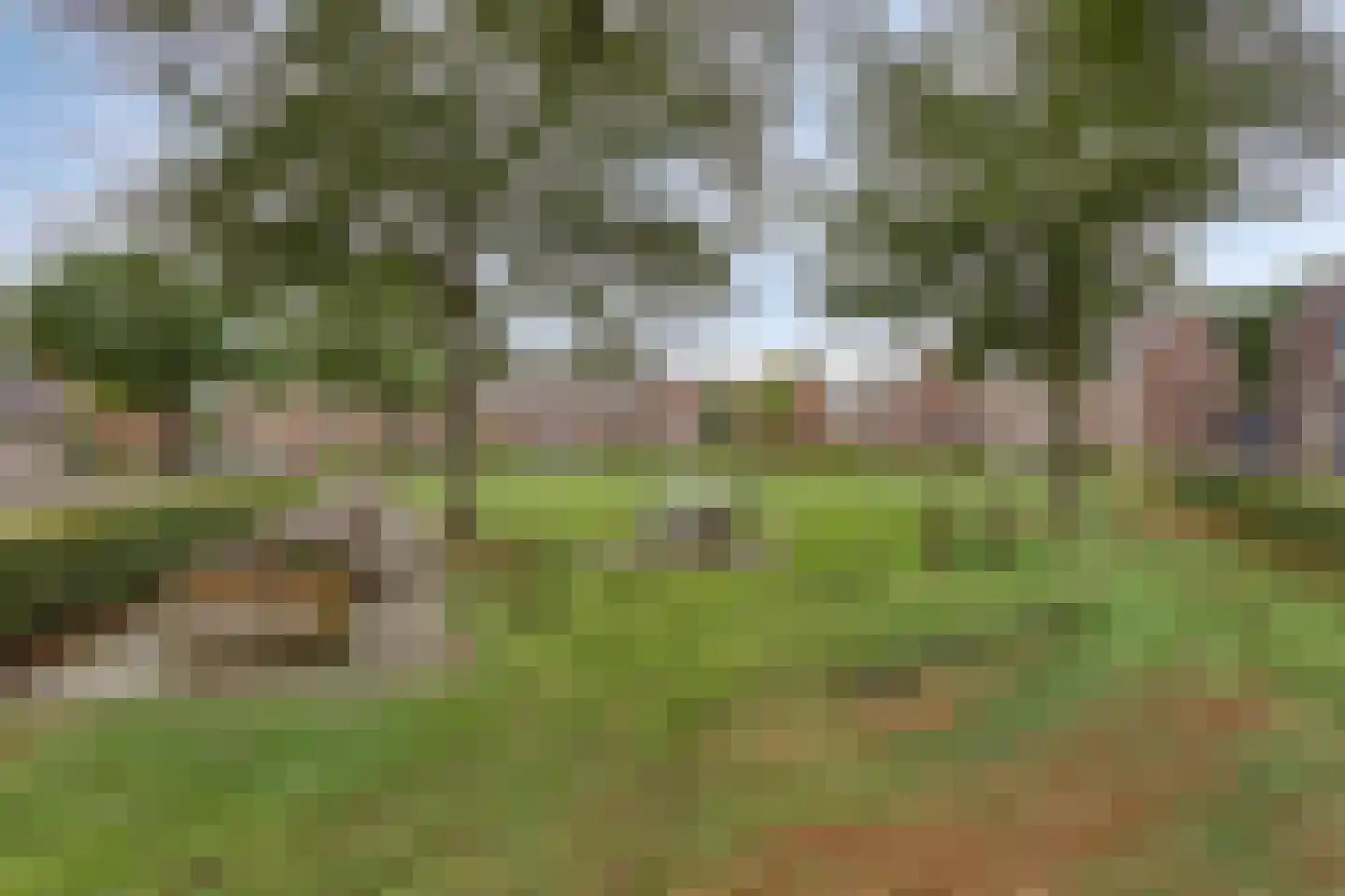 Beekvloed 20 Volkel thumbnail 74