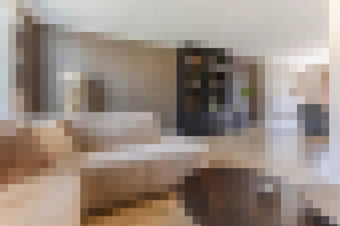 Beekvloed 32 Volkel thumbnail 13