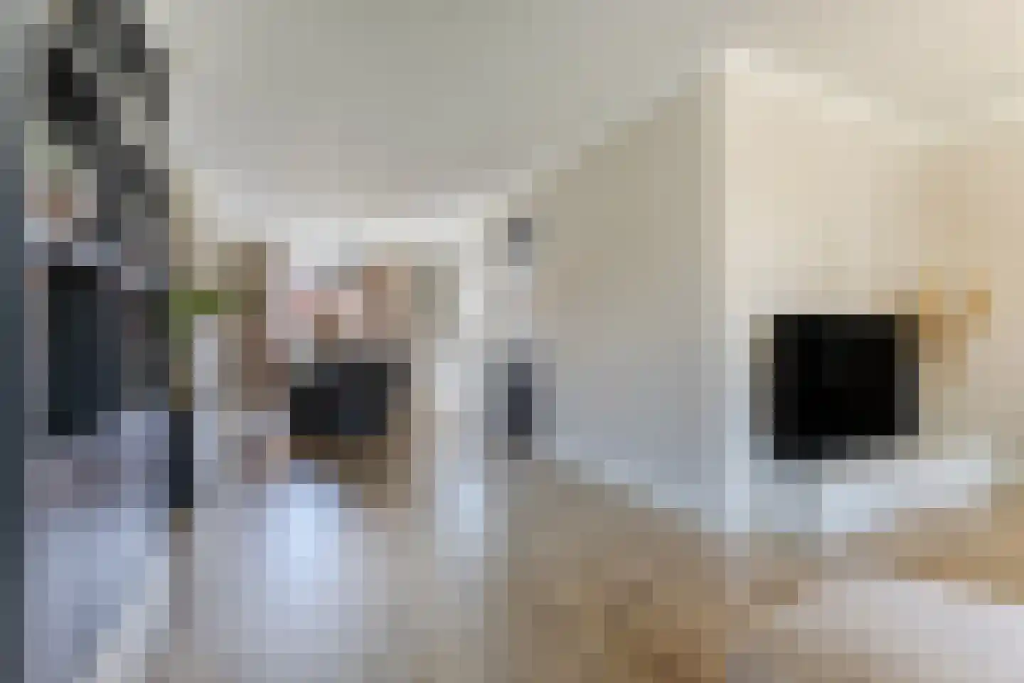 Beekvloed 32 Volkel thumbnail 14