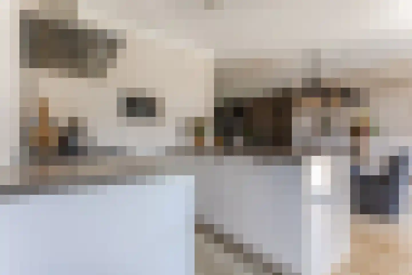 Beekvloed 32 Volkel thumbnail 18