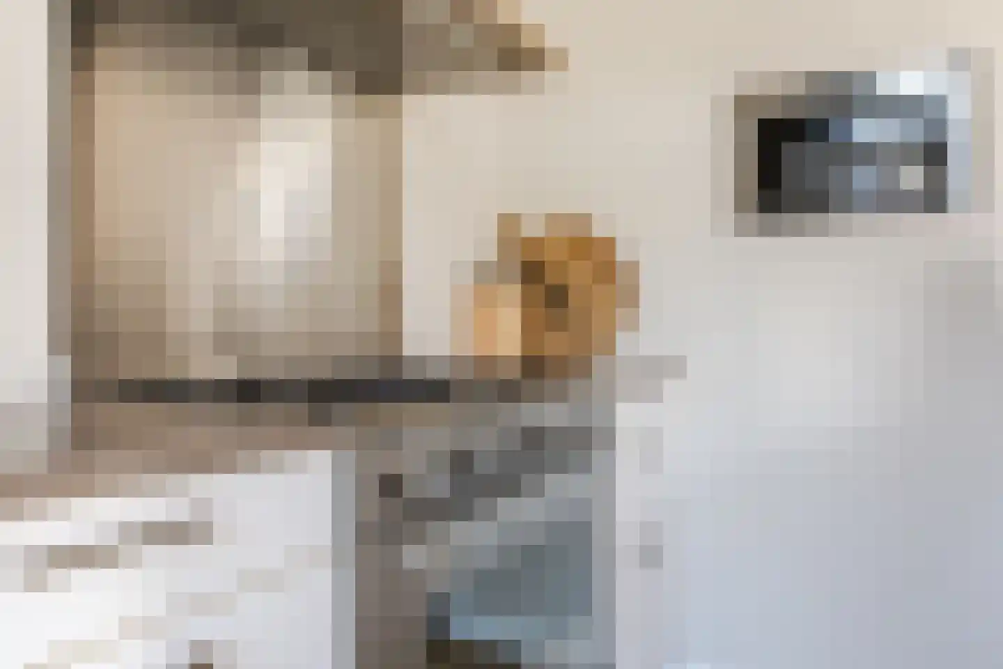 Beekvloed 32 Volkel thumbnail 20