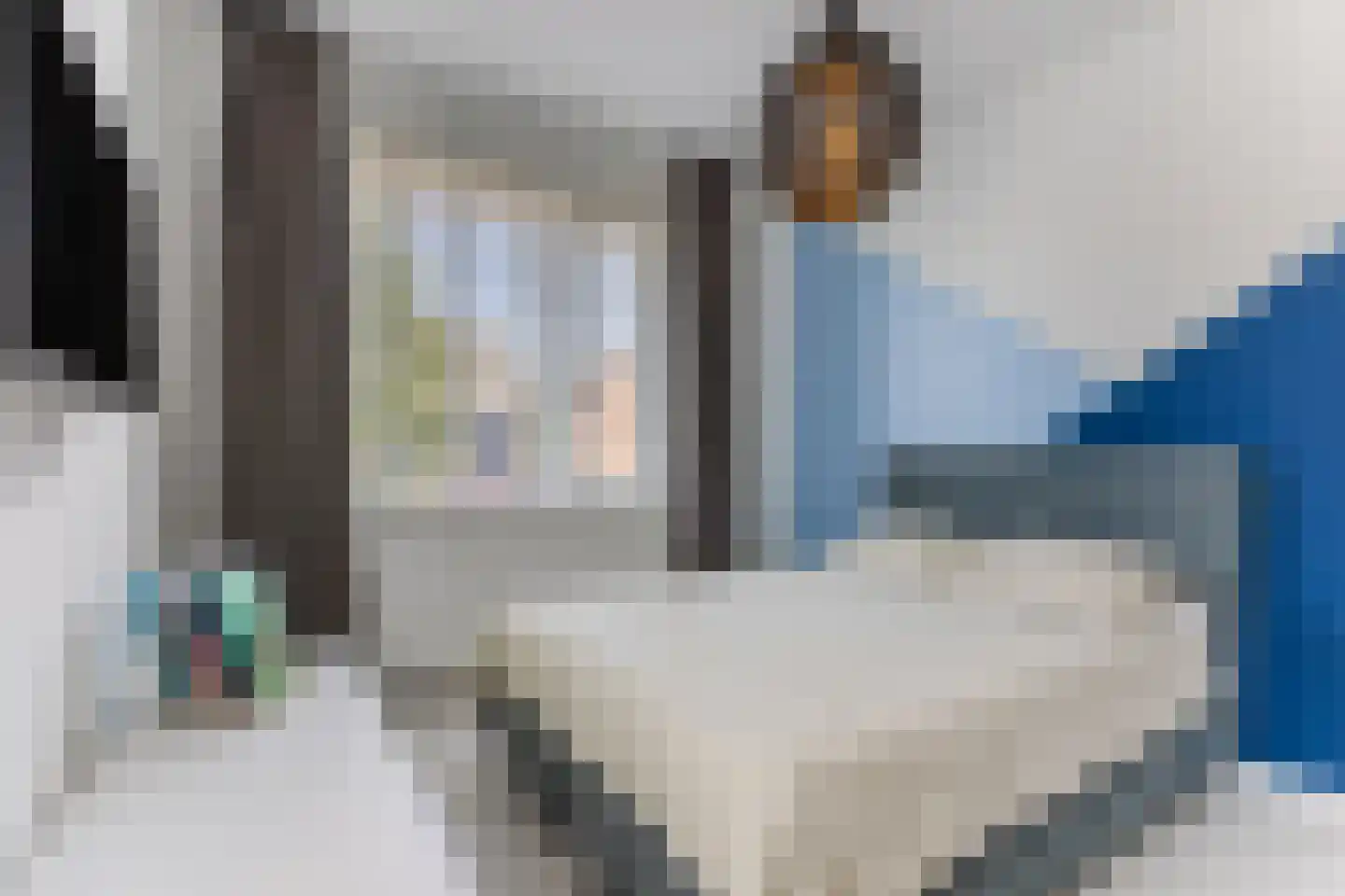 Beekvloed 32 Volkel thumbnail 27