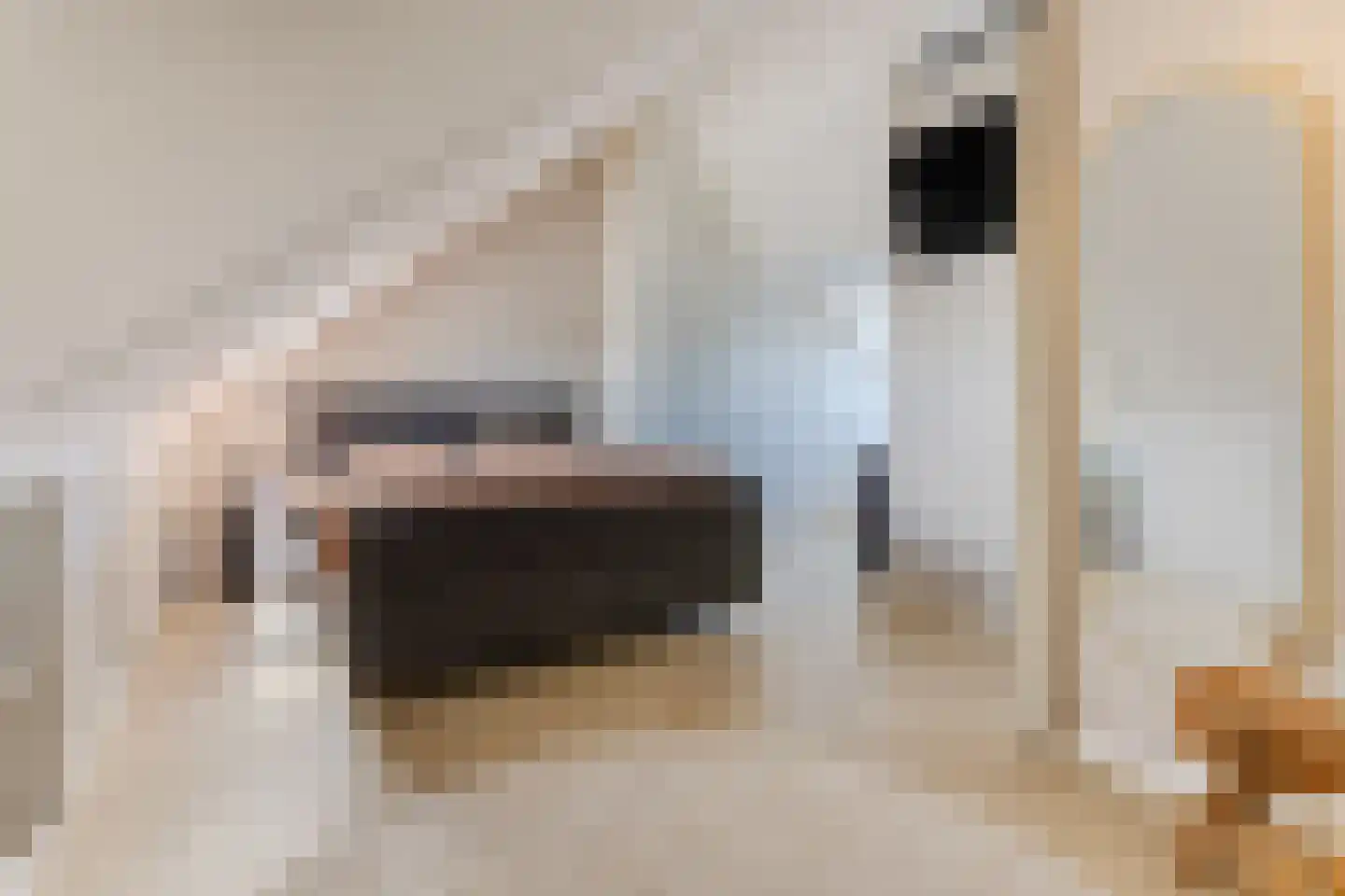 Beekvloed 32 Volkel thumbnail 37