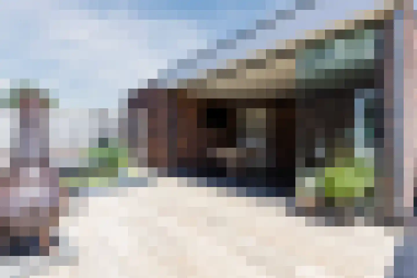 Beekvloed 32 Volkel thumbnail 49