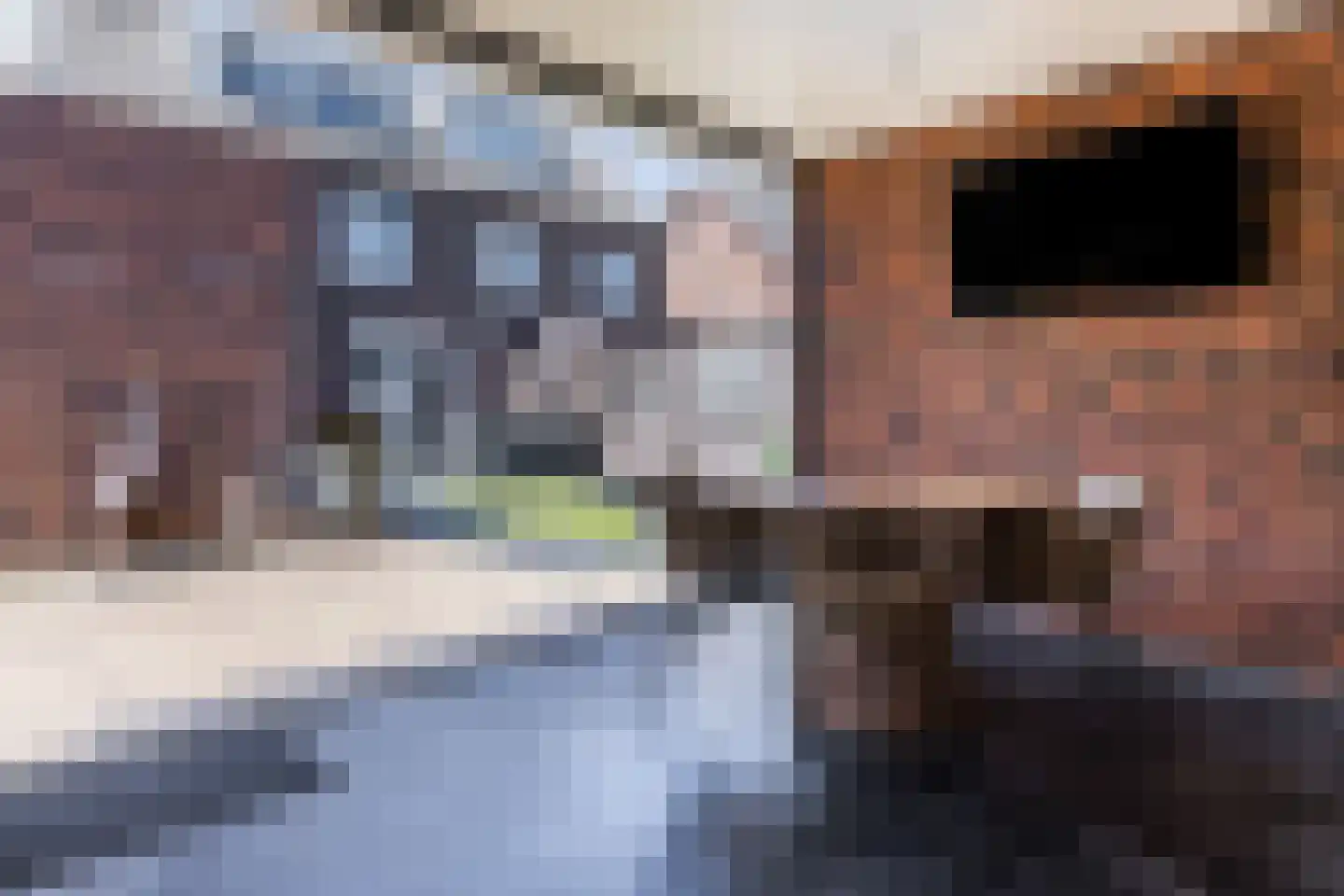 Beekvloed 32 Volkel thumbnail 51