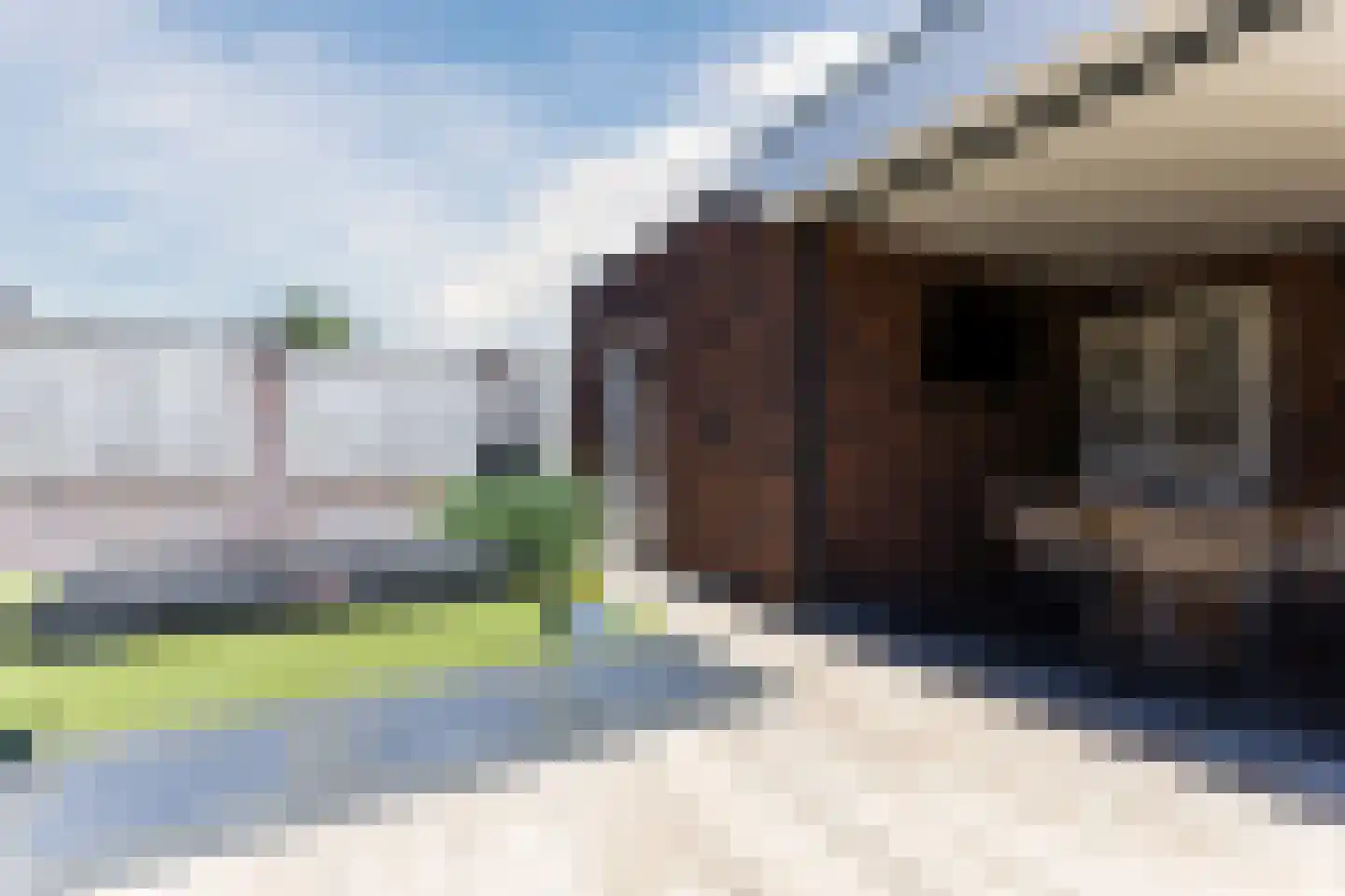 Beekvloed 32 Volkel thumbnail 53