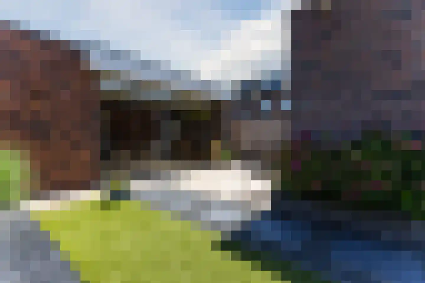 Beekvloed 32 Volkel thumbnail 54
