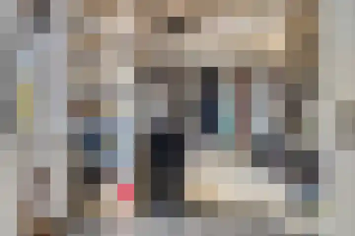 Beekvloed 5 Volkel thumbnail 24