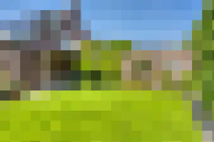 Beekvloed 5 Volkel thumbnail 39