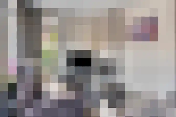 Beekvloed 5 Volkel thumbnail 4