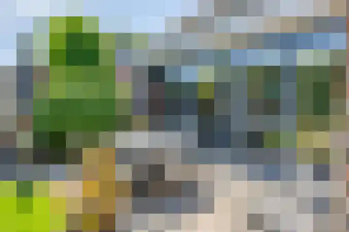 Beekvloed 5 Volkel thumbnail 41