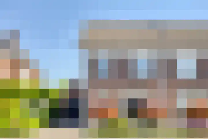 Beekvloed 5 Volkel thumbnail 43