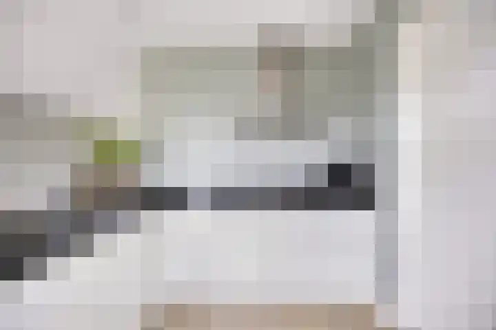 Beekvoorde 13 Borne thumbnail 14