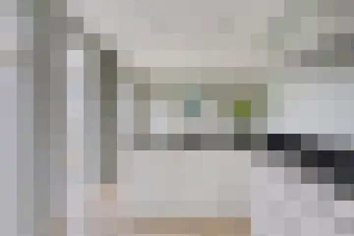 Beekvoorde 13 Borne thumbnail 15