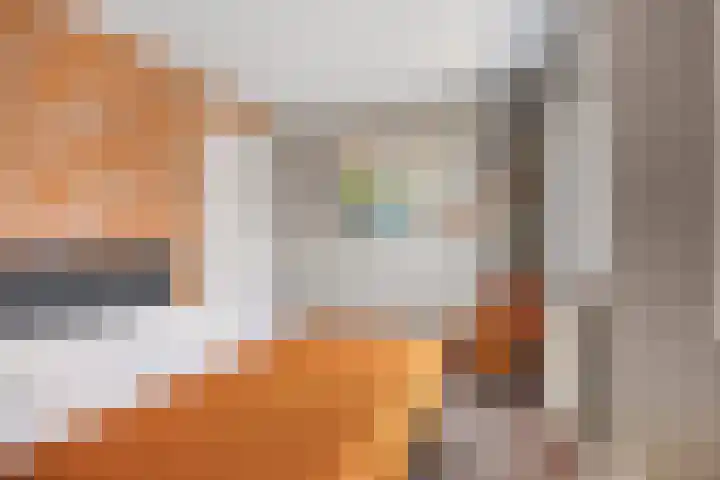 Beekvoorde 13 Borne thumbnail 20