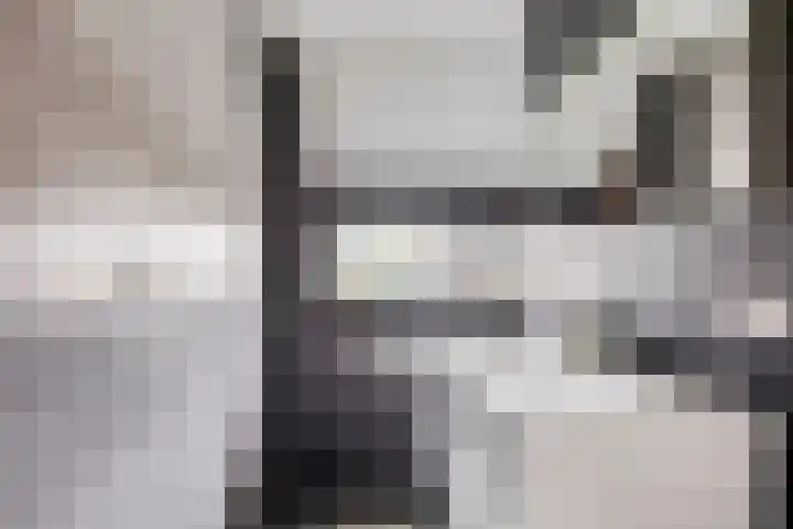 Beekvoorde 13 Borne thumbnail 22