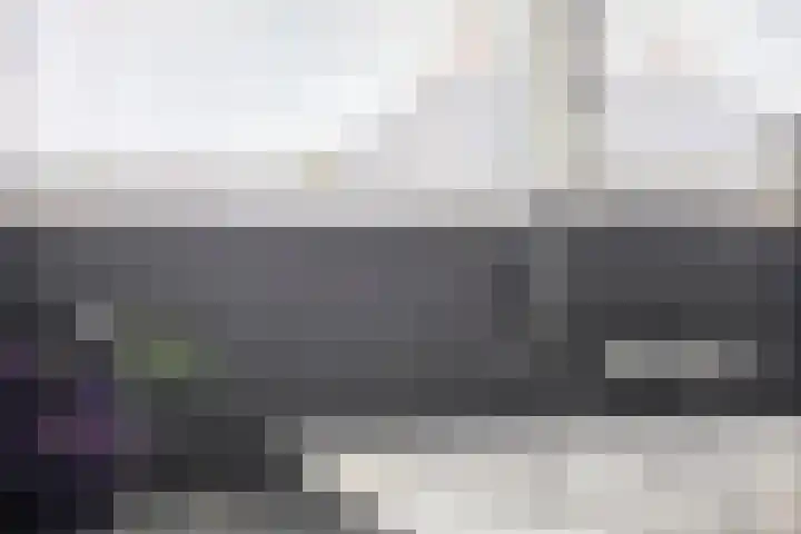 Beekvoorde 13 Borne thumbnail 25