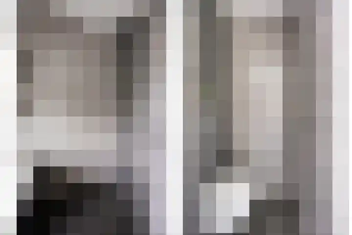 Beekvoorde 13 Borne thumbnail 26