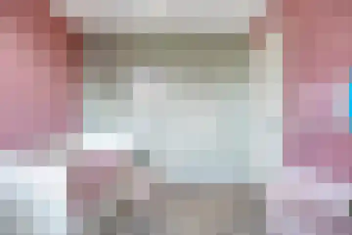 Beekvoorde 13 Borne thumbnail 28