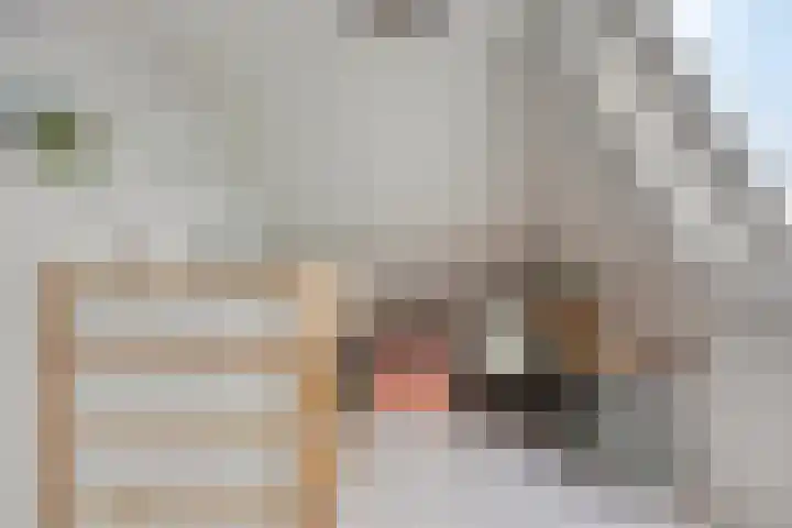 Beekvoorde 13 Borne thumbnail 31