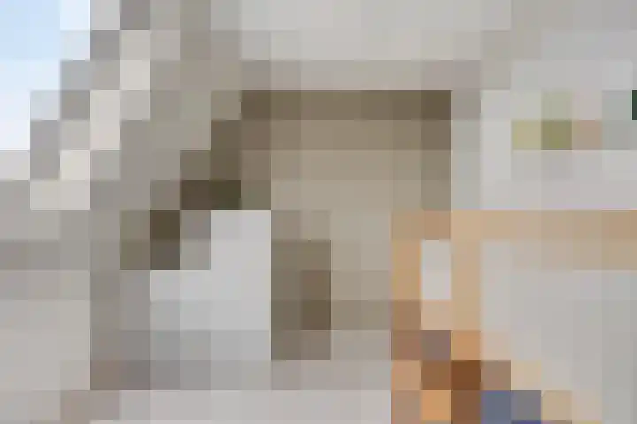 Beekvoorde 13 Borne thumbnail 32