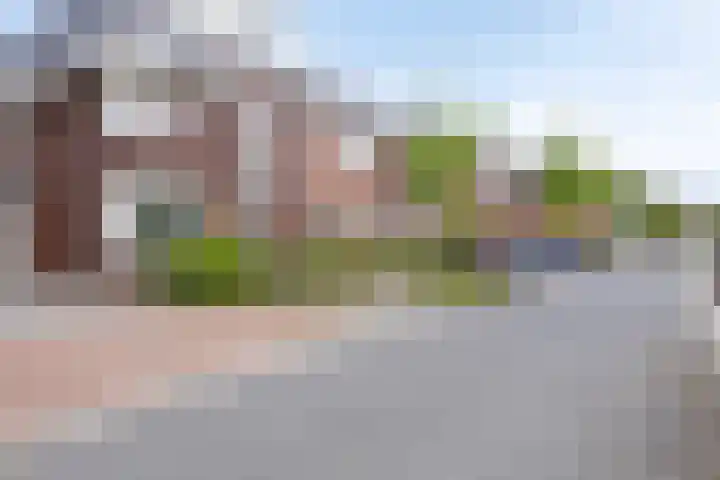 Beekvoorde 13 Borne thumbnail 39