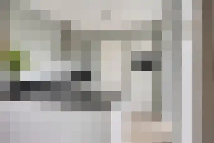 Beekvoorde 13 Borne thumbnail 4