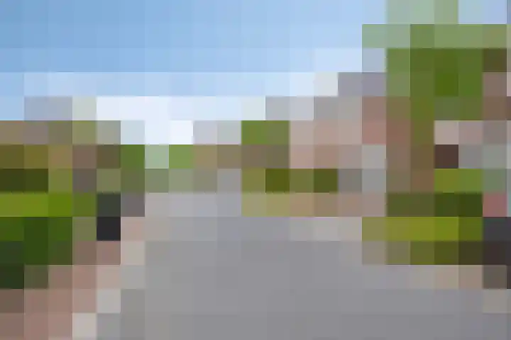 Beekvoorde 13 Borne thumbnail 40