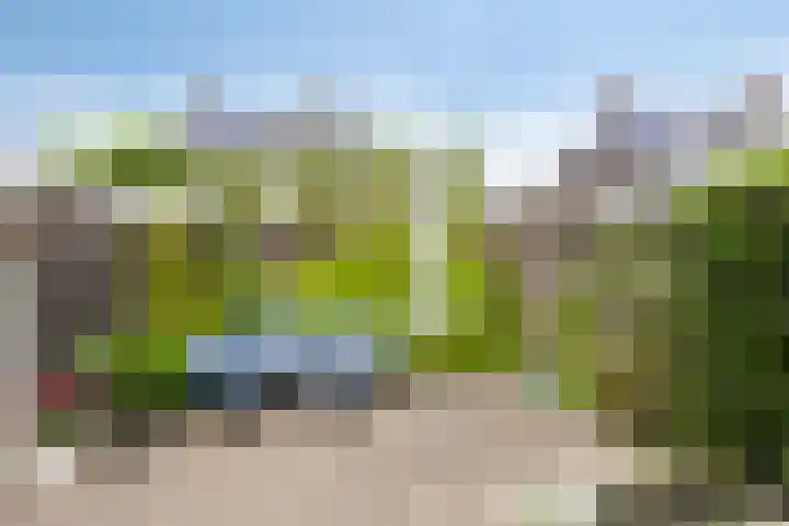 Beekvoorde 13 Borne thumbnail 6