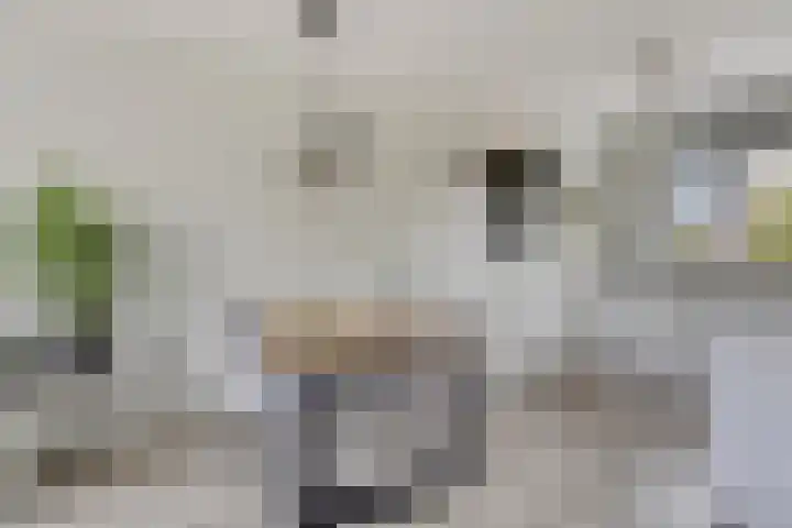 Beekvoorde 25 Borne thumbnail 11