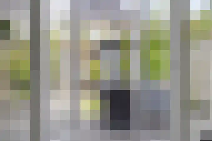 Beekvoorde 25 Borne thumbnail 13