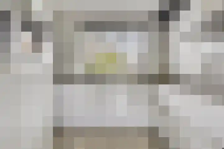 Beekvoorde 25 Borne thumbnail 14