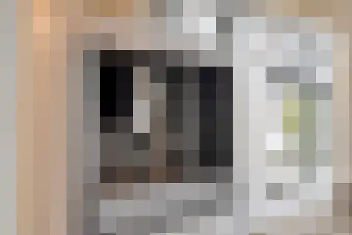 Beekvoorde 25 Borne thumbnail 15