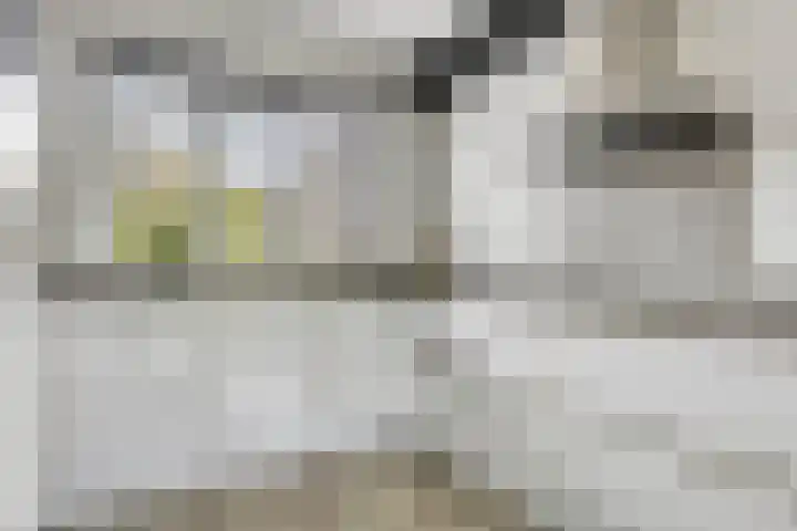 Beekvoorde 25 Borne thumbnail 16