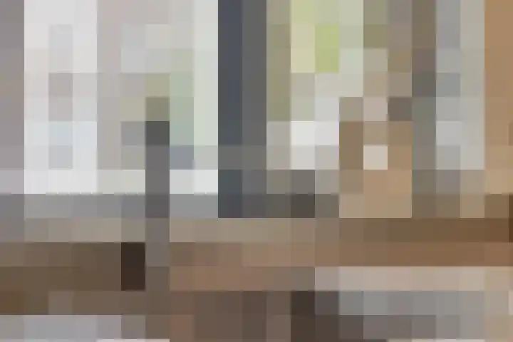 Beekvoorde 25 Borne thumbnail 17