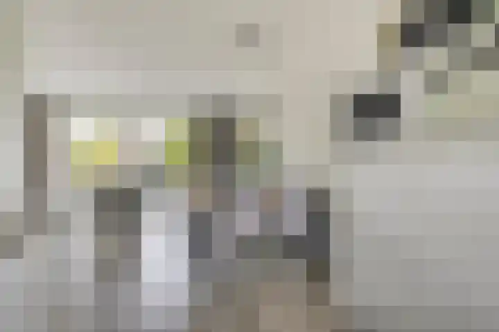 Beekvoorde 25 Borne thumbnail 19
