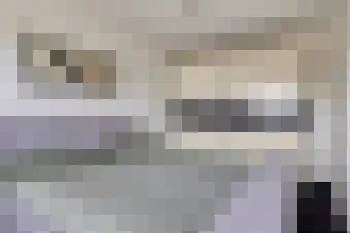 Beekvoorde 25 Borne thumbnail 22
