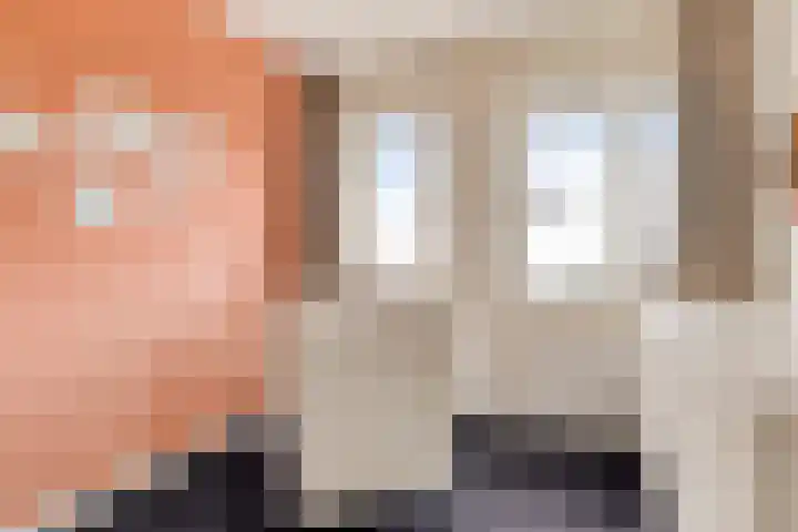 Beekvoorde 25 Borne thumbnail 27