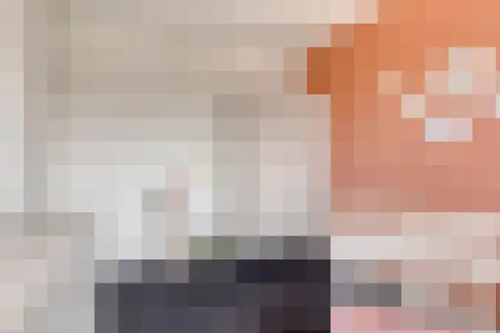 Beekvoorde 25 Borne thumbnail 28