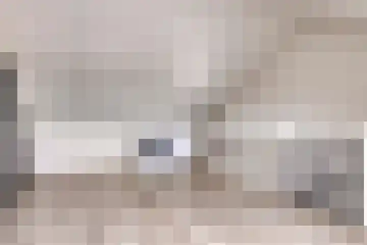 Beekvoorde 25 Borne thumbnail 30