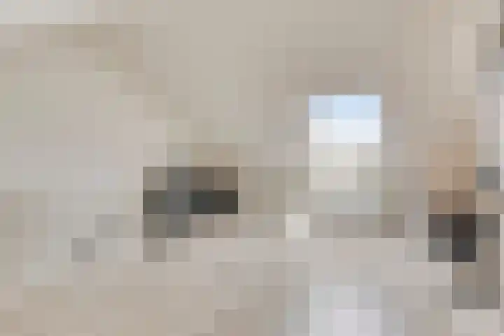 Beekvoorde 25 Borne thumbnail 31