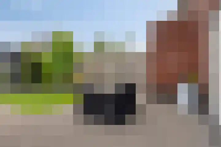 Beekvoorde 25 Borne thumbnail 32