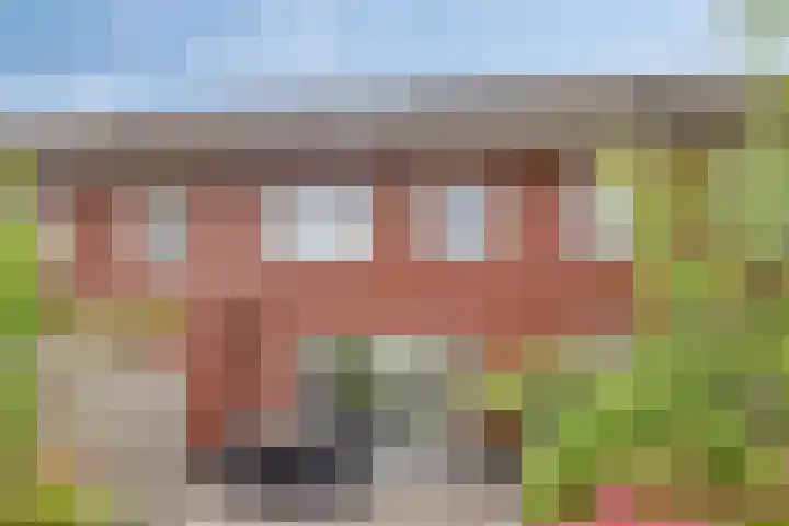 Beekvoorde 25 Borne thumbnail 33