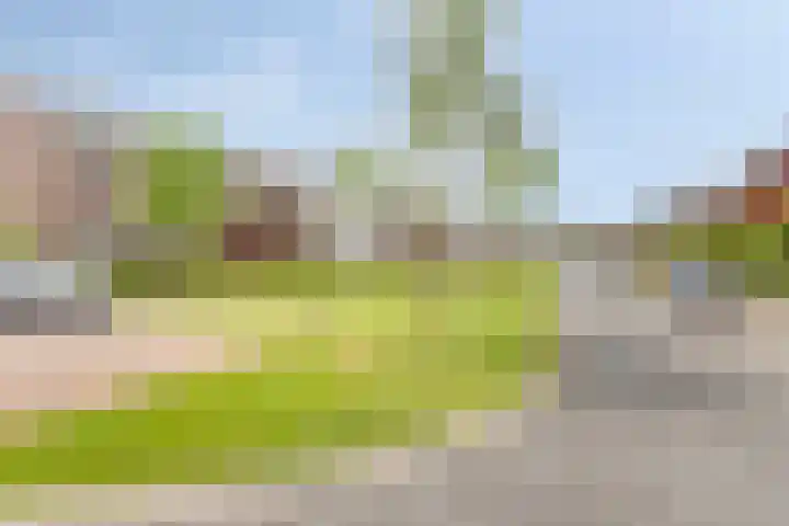 Beekvoorde 25 Borne thumbnail 36