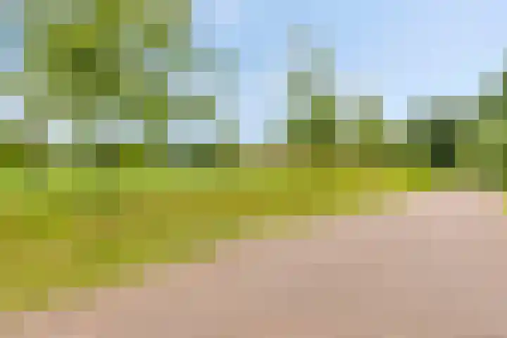 Beekvoorde 25 Borne thumbnail 38